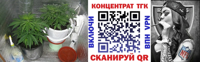 ТГК гашишное масло  Купить закладки  Белогорск 